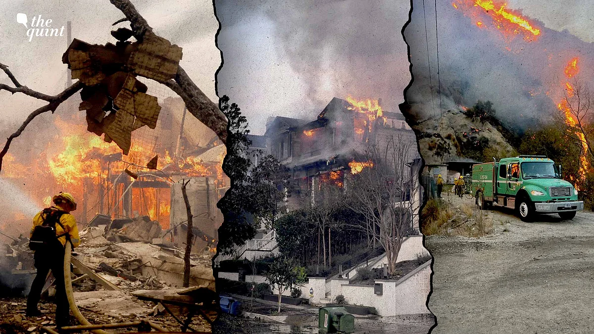 <div class="paragraphs"><p>California Fire: The relentless wildfires fueled by strong winds have forced thousands to evacuate and killed at least 24. Experts warn climate change may lead to longer, more intense fire seasons.</p></div>