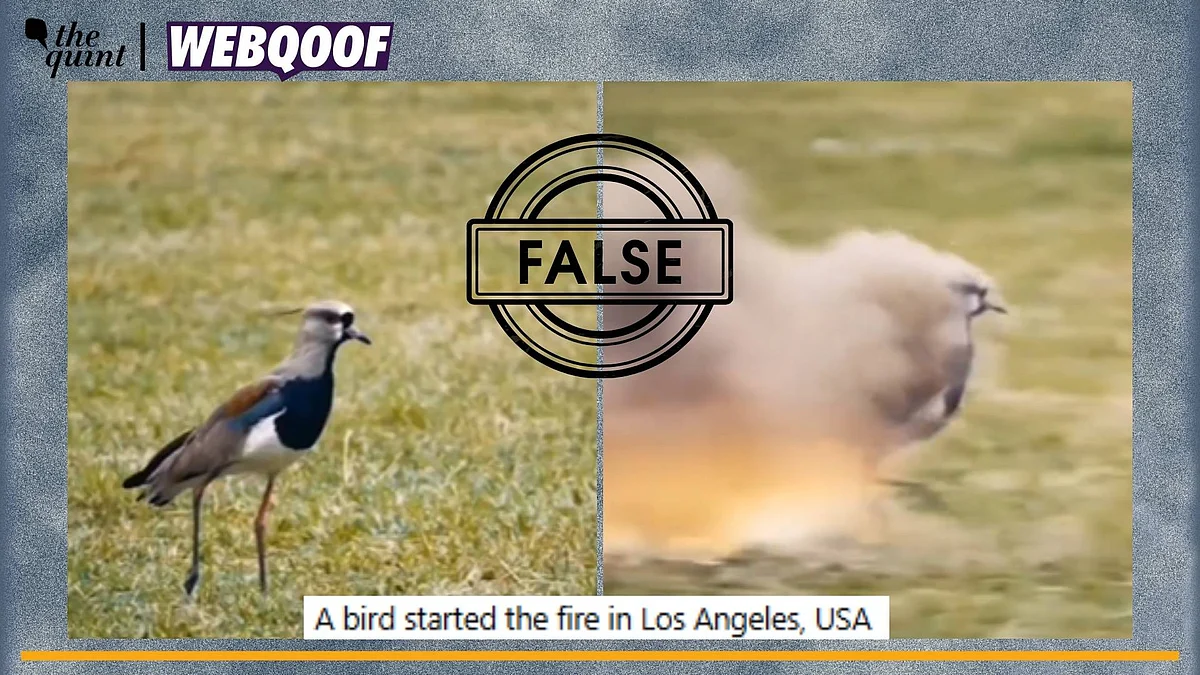 <div class="paragraphs"><p>Fact-Check |The video is old and has been made using VFX tools.</p></div>