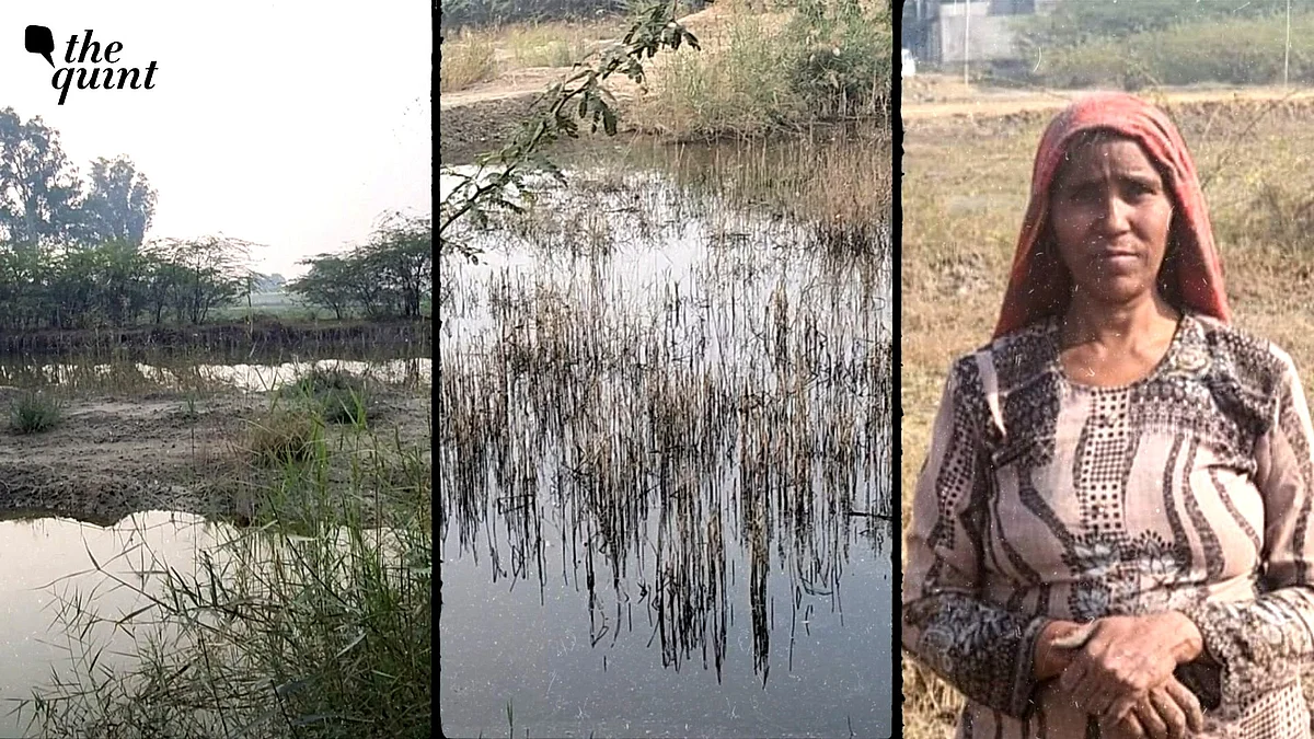 <div class="paragraphs"><p>Farmers in Haryana are facing financial ruin due to waterlogged farmlands caused by excessive rainfall and overflowing lakes.</p></div>