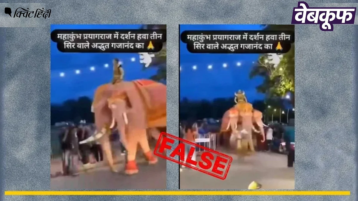 <div class="paragraphs"><p>प्रयागराज कुंभ में नहीं दिखा तीन सिर वाली हाथी, थाईलैंड का है वीडियो</p></div>