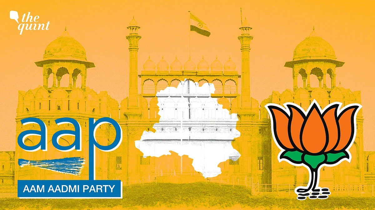 <div class="paragraphs"><p>Assembly elections 2025: AAP loses Delhi fortress</p></div>