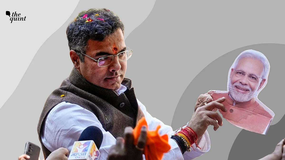 <div class="paragraphs"><p>'Giant Slayer' to 'Muslim Hater': The Greys of BJP CM Frontrunner Parvesh Verma</p></div>