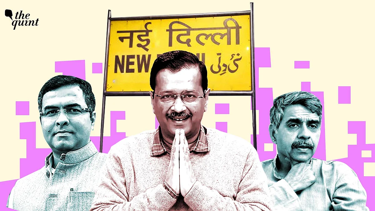 <div class="paragraphs"><p>(25% voters in Arvind Kejriwal's New Delhi seat were deleted between 2020 and 2025)</p></div>