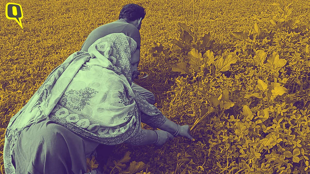 <div class="paragraphs"><p>Farmers are facing losses as climate change affects them adversely. Who's listening to then?</p></div>