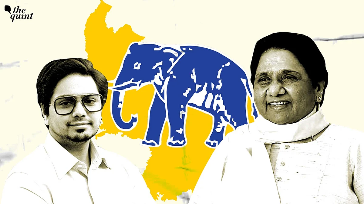 <div class="paragraphs"><p>The rise and fall of Akash Anand, who was dramatically elevated by Mayawati as her political successor barely a year ago, is a saga in itself.</p></div>