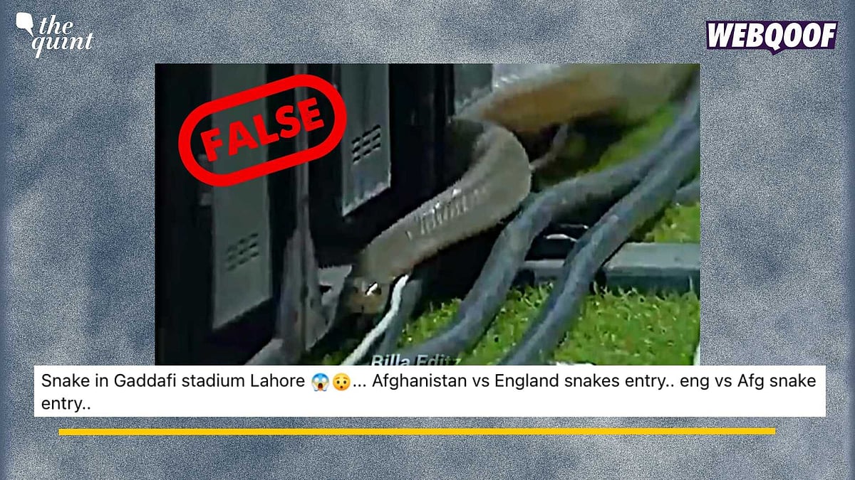 <div class="paragraphs"><p>Fact-Check: This video is from 2023 recorded during a cricket match in Colombo, Sri Lanka.&nbsp;</p></div>