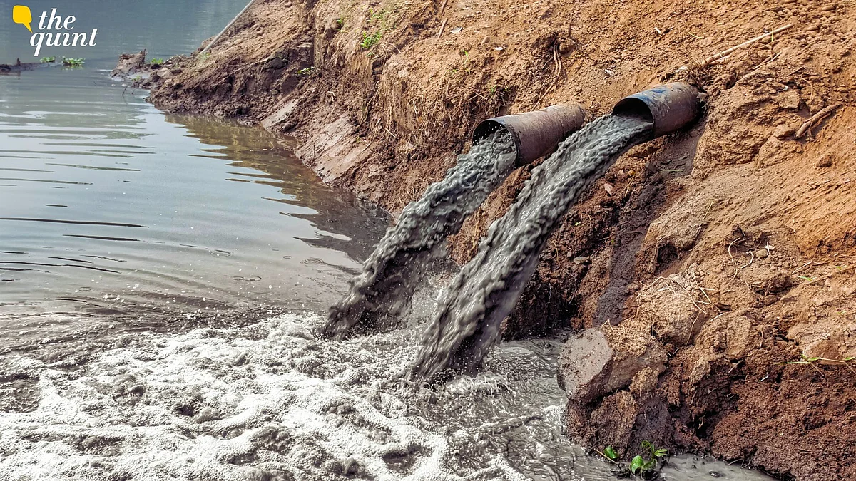 <div class="paragraphs"><p>Climate change may be increasing the risk of exposure to sewage-linked viruses in rivers, lakes, and coastal waters.</p></div>
