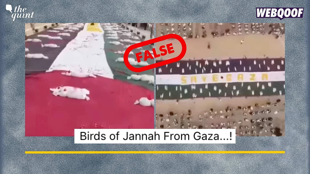 <div class="paragraphs"><p>Fact-Check: This video is old from 2023 from a protest in Pakistan.</p></div>