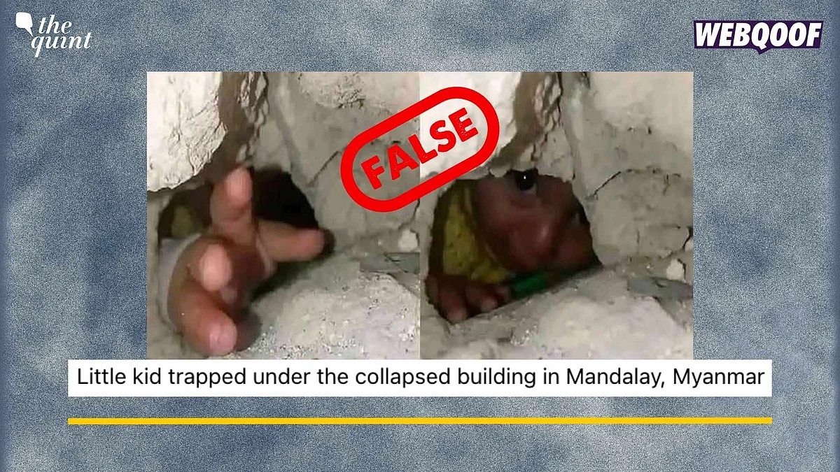 <div class="paragraphs"><p>Fact-Check: We were able to trace this image back to October 2024.&nbsp;&nbsp;</p></div>