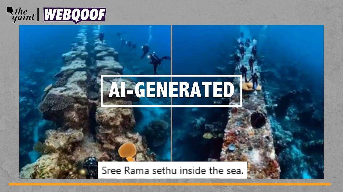 <div class="paragraphs"><p>Fact-Check | The video is actually AI-generated and does not real visuals.</p></div>