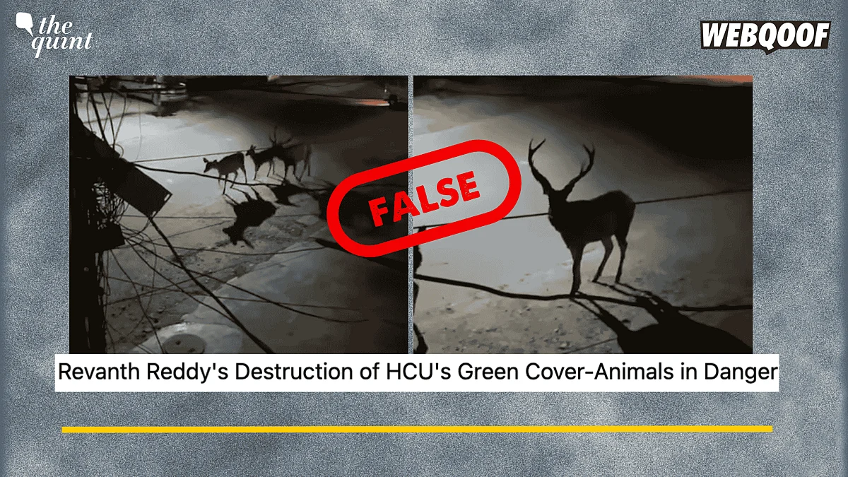 <div class="paragraphs"><p>Fact-Check: This video is not from Hyderabad. It is from Haridwar from 2020.&nbsp;</p></div>
