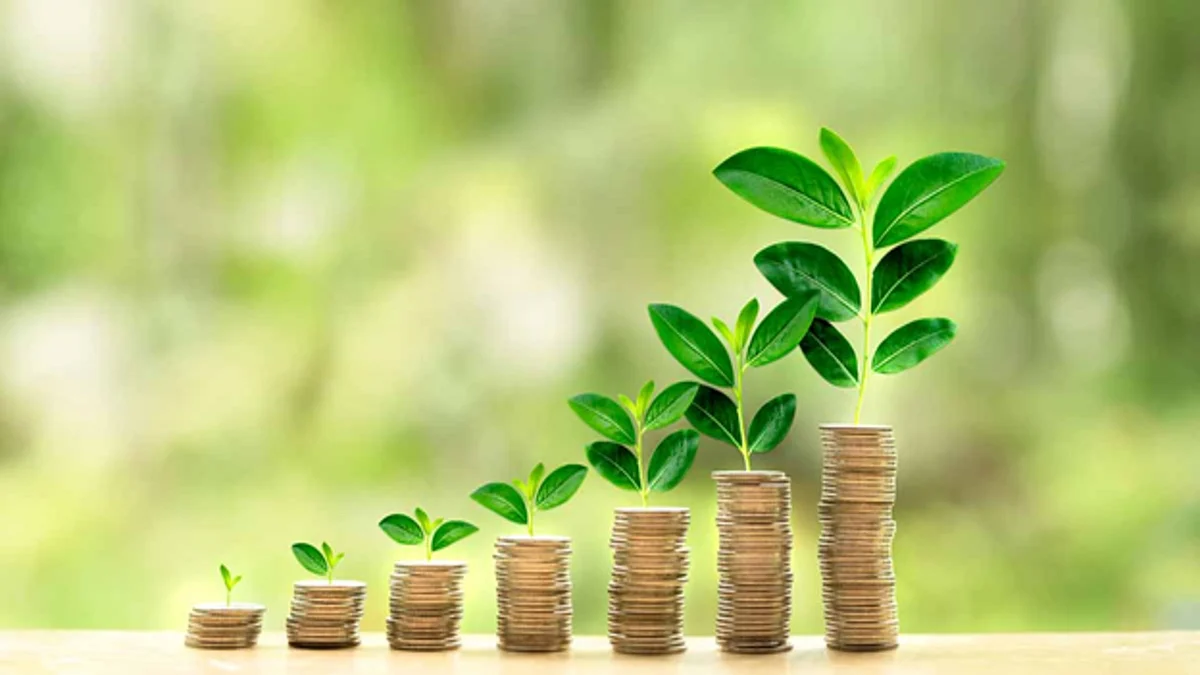 <div class="paragraphs"><p>Top investment plans to grow your wealth</p></div>