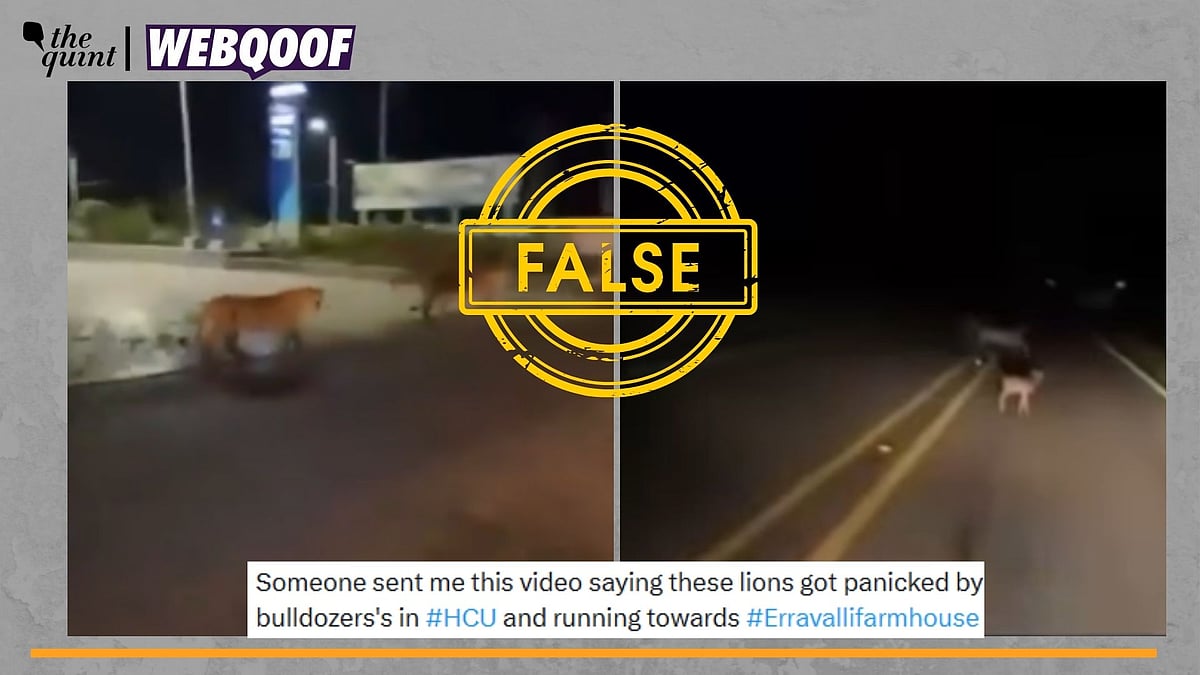 <div class="paragraphs"><p>Fact-Check | The videos are old and unrelated to the recent controversy in Telangana.</p></div>