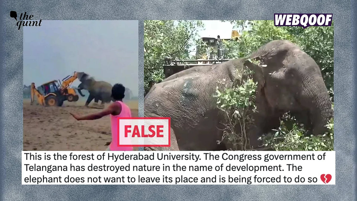 <div class="paragraphs"><p>A set of videos showing elephants and JCBs have gone viral on social media, where users have incorrectly linked them to the land clearing drives in Hyderabad's Kancha Gachibowli forests.</p></div>