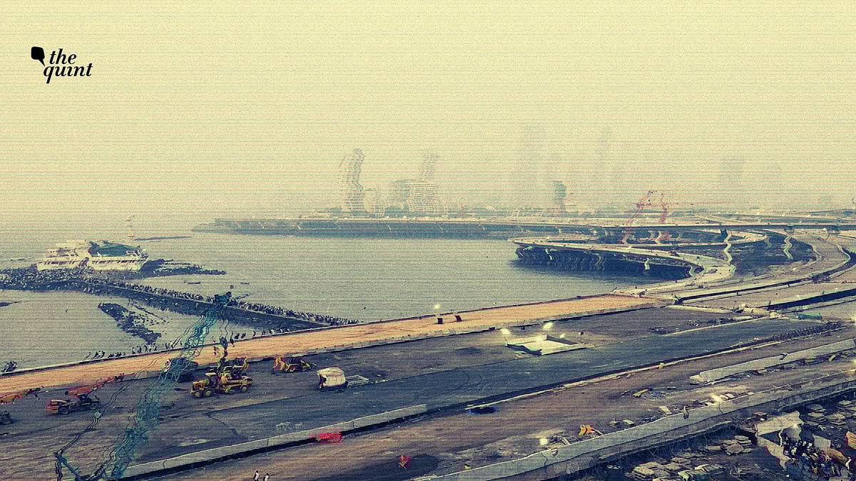 <div class="paragraphs"><p>'Cushion Between Sea &amp; City': The Impact Of Cutting 9,000 Mangroves on Mumbai</p></div>