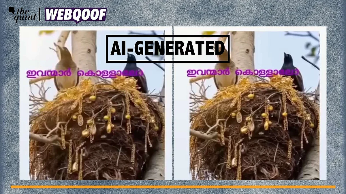 <div class="paragraphs"><p>Fact-Check | The video has been generated using AI tools and does not show real visuals.</p></div>
