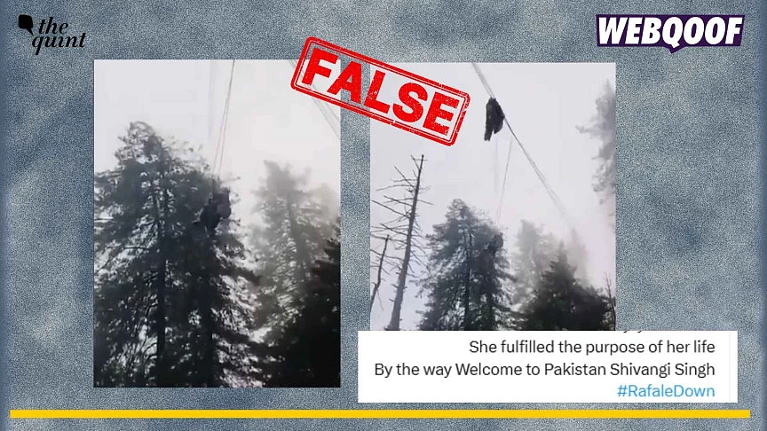 <div class="paragraphs"><p>An old video of a paraglider being stuck in Himachal Pradesh is being falsely linked to IAF Rafale pilot Shivani Singh.</p></div>