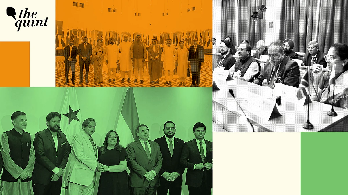 <div class="paragraphs"><p>The seven delegations included 20 members from Opposition parties, visiting a total of 32 countries to influence international public opinion.</p></div>