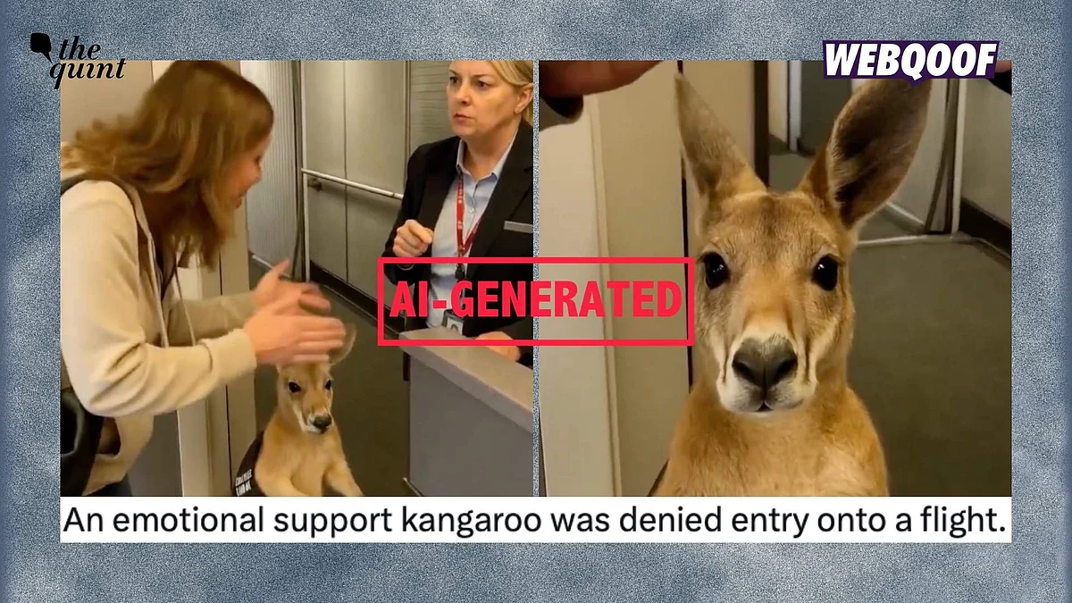 <div class="paragraphs"><p>An AI-generated video of a kangaroo holding a boarding pass while trying to board a flight has gone viral on social media as a real clip.</p></div>