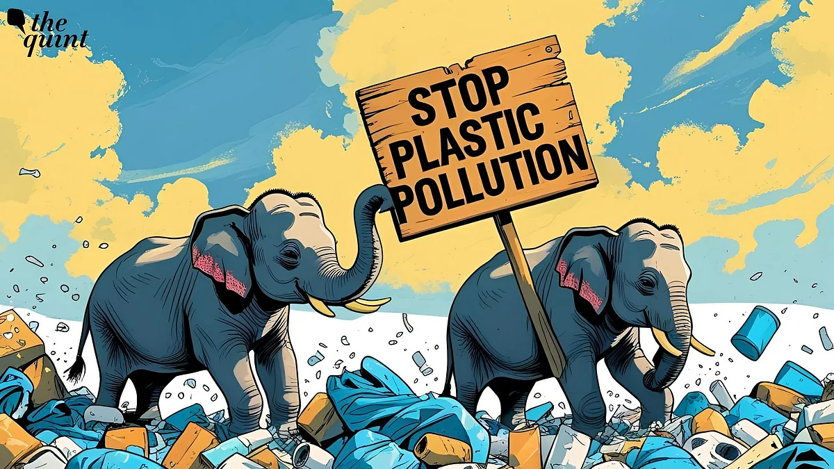 <div class="paragraphs"><p>From garbage dumps along forest edges to snack wrappers tossed beside railway tracks, the elephant’s world, like that of many other unsuspecting wild animals, is becoming increasingly entangled in, and endangered by, plastic waste.</p></div>