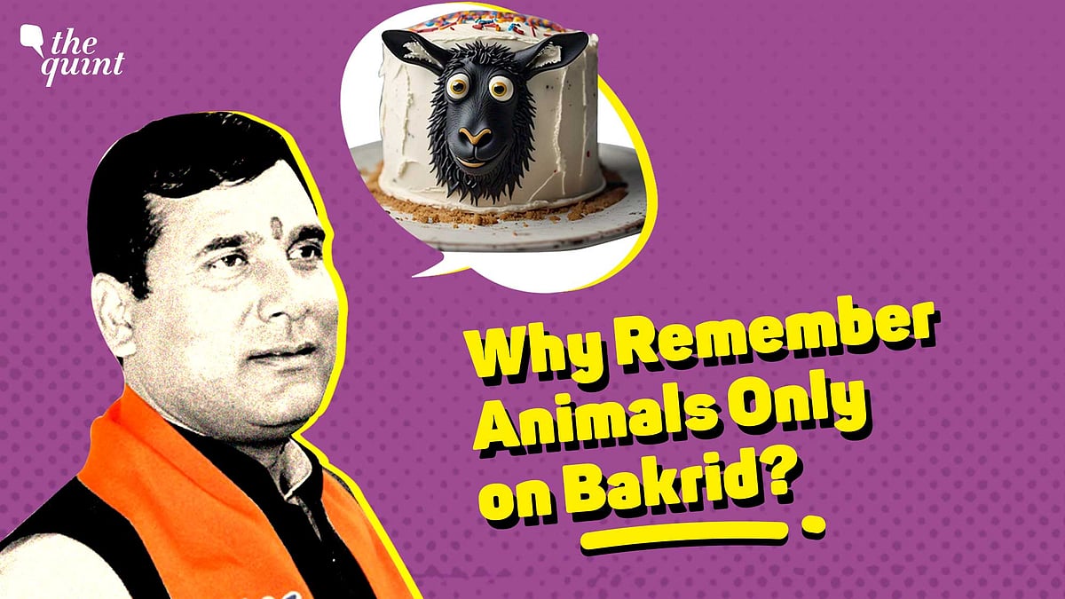<div class="paragraphs"><p>BJP MLA Nand Kishor Gurjar has asked Muslims to cut a goat-shaped cake on Bakrid.</p></div>