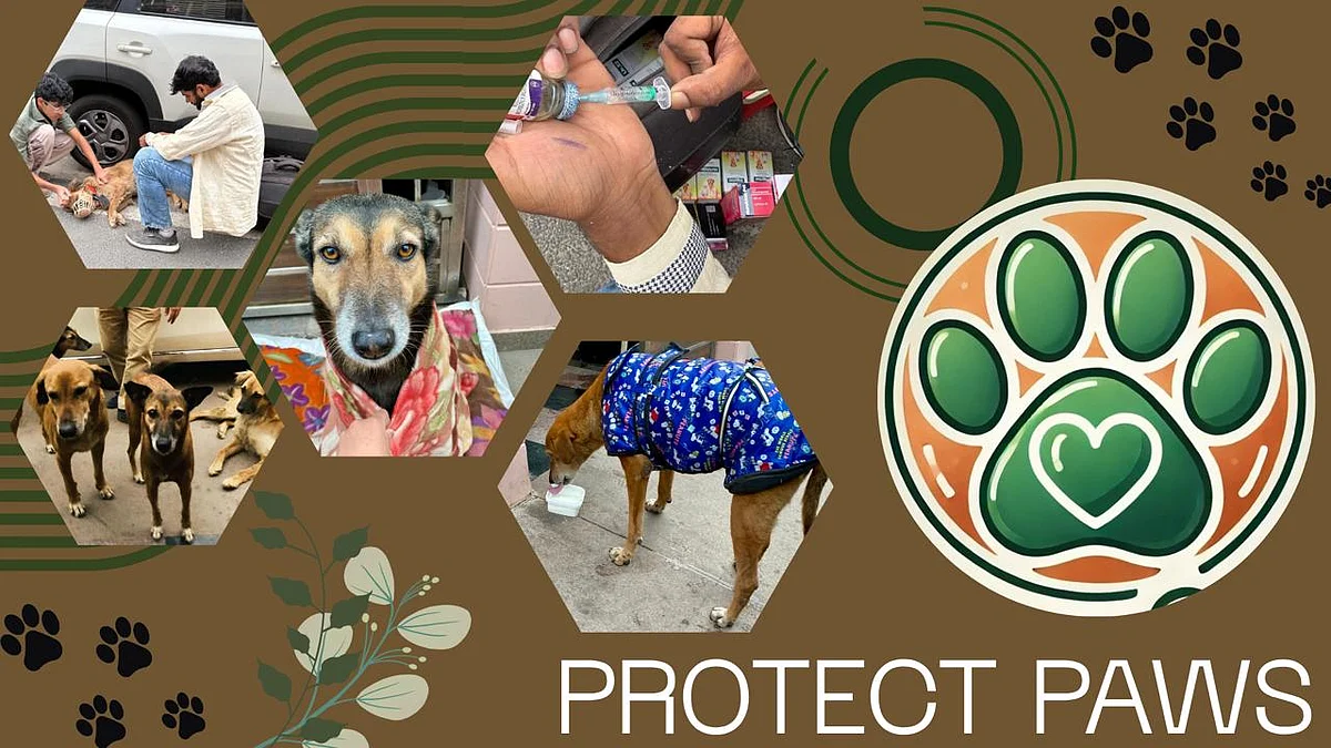 <div class="paragraphs"><p>They’re Not a Nuisance — They’re Neighbours: How India’s Street Dogs Quietly Watch Over Our Cities</p></div>