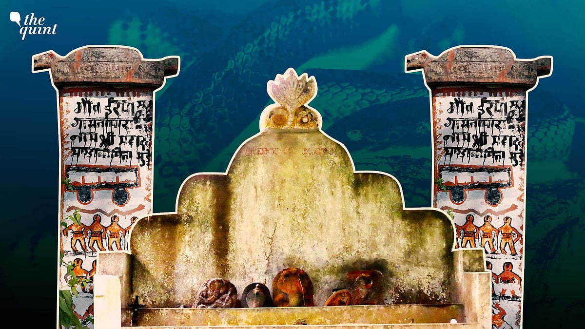 <div class="paragraphs"><p>Snake shrines help understand how existing cultural beliefs of local communities allow snakes to thrive in India.</p></div>