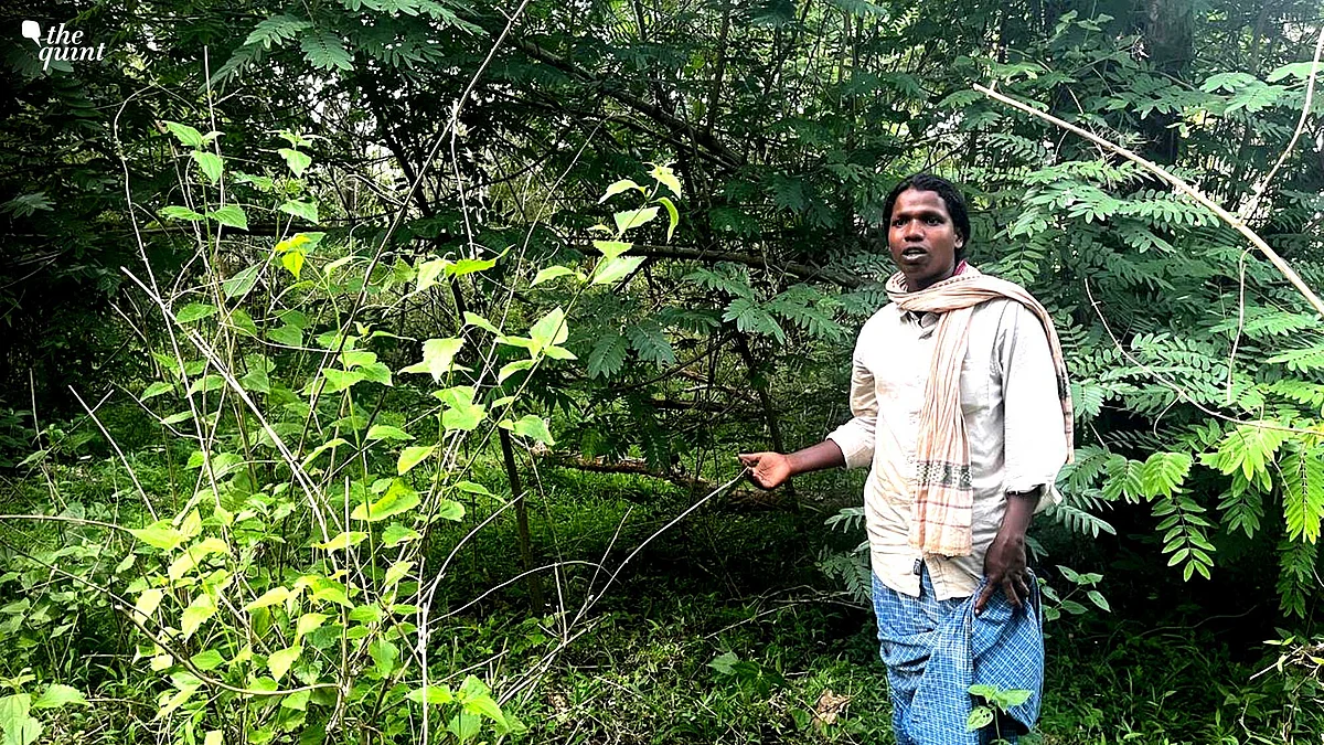 <div class="paragraphs"><p>Shivu, a Jenu Kuruba youth, points to the site where his ancestors were cremated. Despite decades of eviction, the community has continued to perform final rites on their ancestral land, preserving their customs.</p></div>