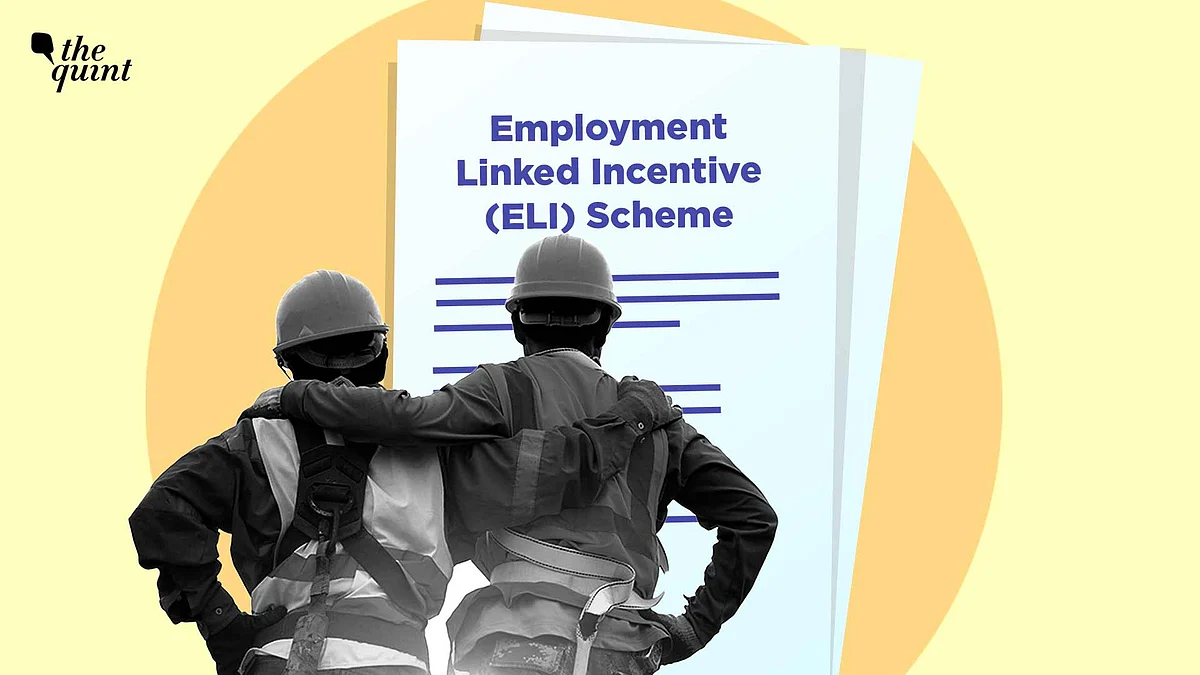 <div class="paragraphs"><p>Will they be quality jobs, or will the scheme merely inflate the Employee Provident Fund Organisation  registration figures?</p></div>