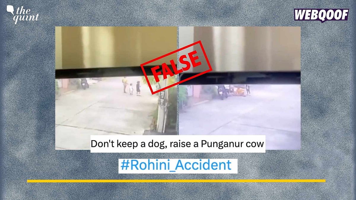 <div class="paragraphs"><p>Fact-Check: This clip is from Thailand and not India.</p></div>
