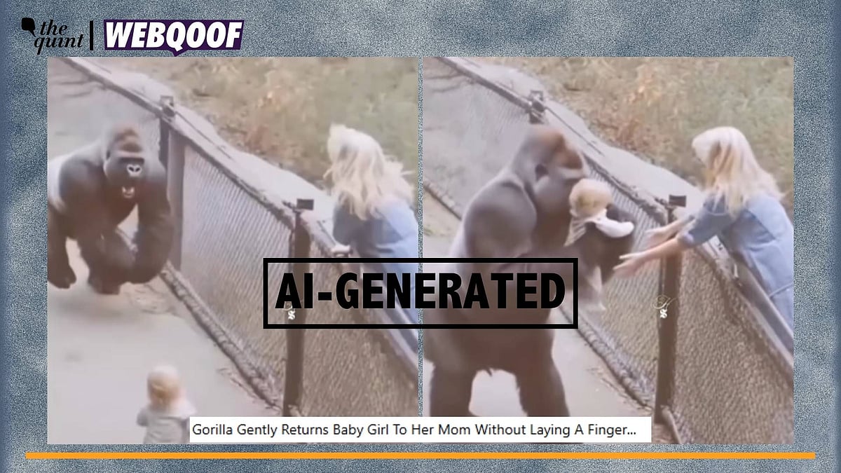 <div class="paragraphs"><p>Fact-Check | The video has been generated using the help of AI tools.</p></div>