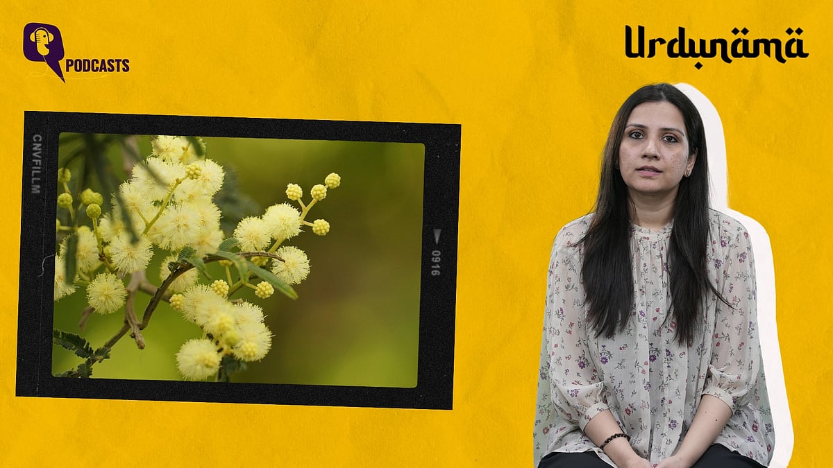 <div class="paragraphs"><p>In this episode of Urdunama, Fabeha Syed talks about the word 'Hassaas'</p></div>