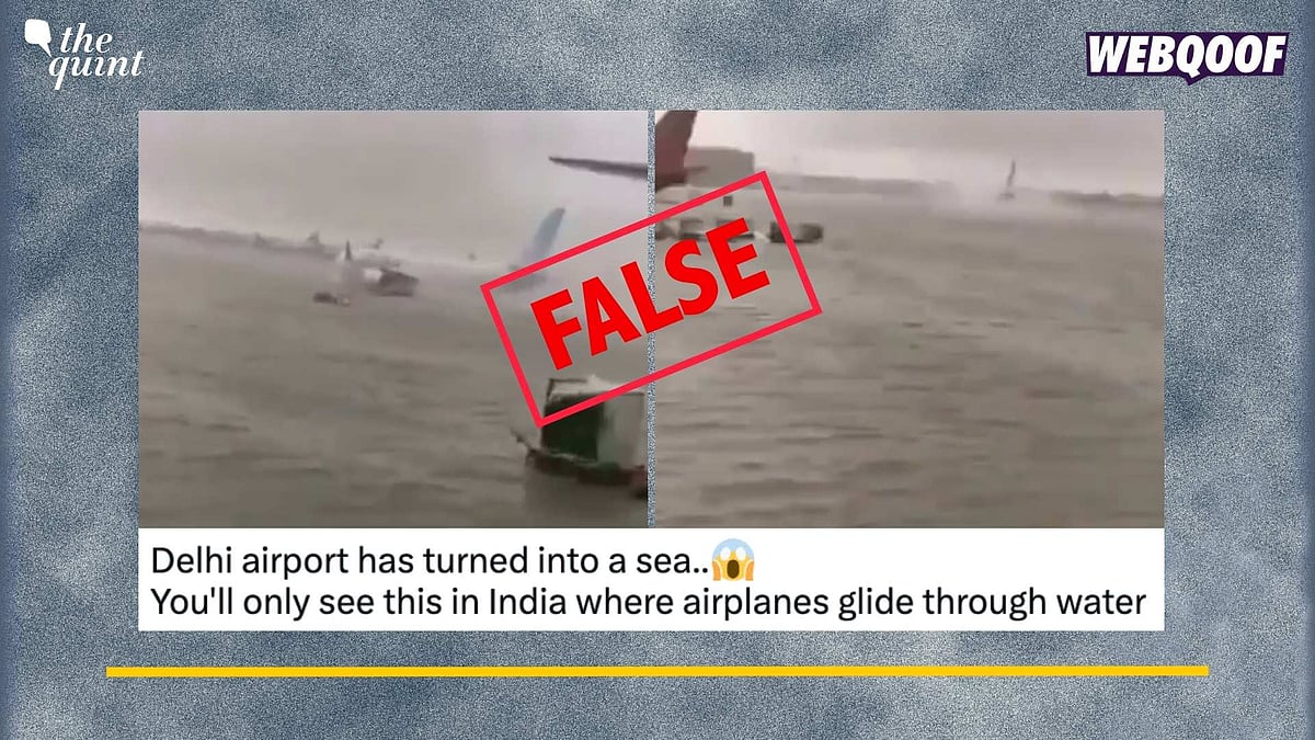 <div class="paragraphs"><p>Fact-Check: Old Clip from Dubai airport viral as one from Delhi.</p></div>
