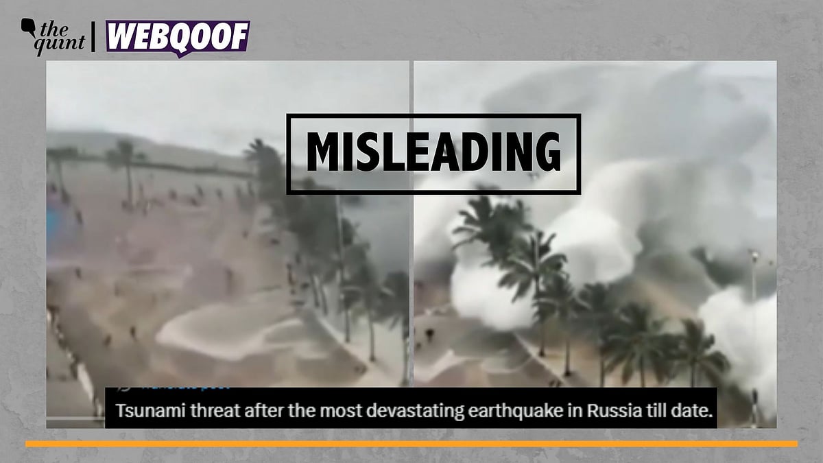 <div class="paragraphs"><p>Fact-Check | The video is old and is being falsely linked to the recent earthquake in Russia.</p></div>