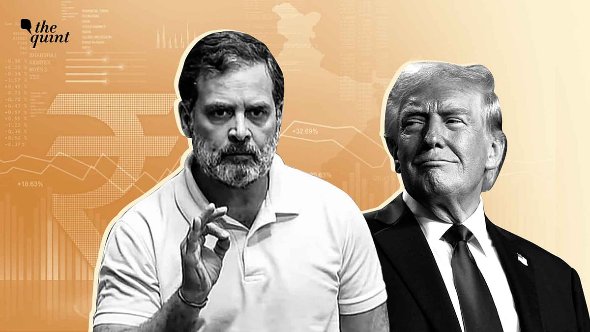 <div class="paragraphs"><p>The "dead economy" jab has unleashed commentary about the state of Indian economy and the political class’s understanding of it. </p></div>