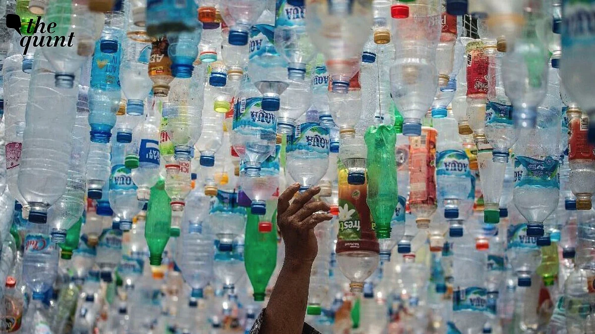 <div class="paragraphs"><p>The UN&nbsp;The Global Plastics Treaty Process Has Fallen Flat. Here’s What Went Wrong</p></div>