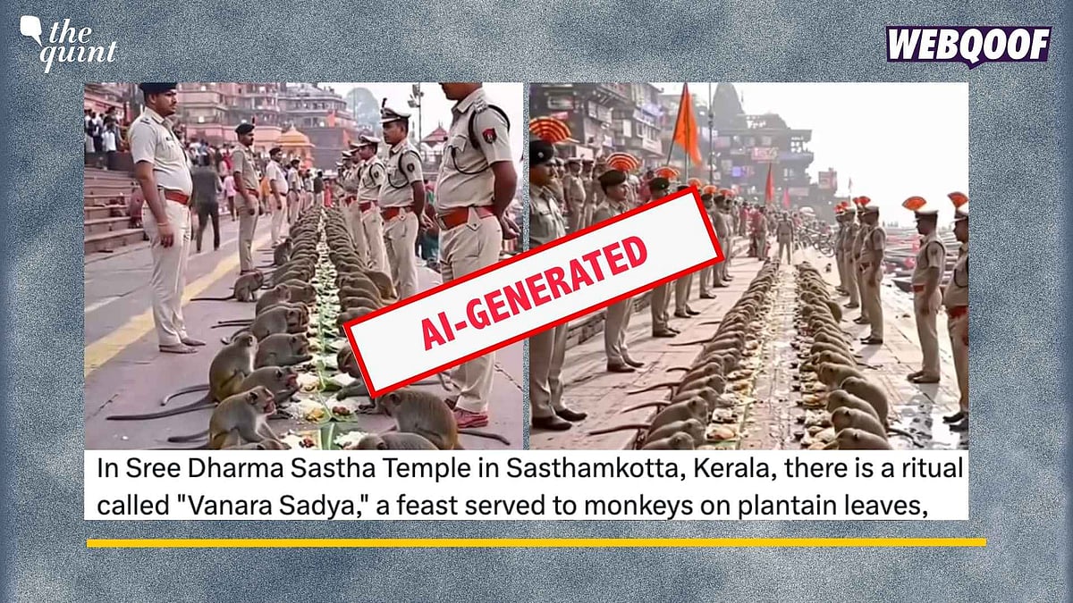 <div class="paragraphs"><p>Fact-Check: This video is created using AI and is not real as claimed.&nbsp;</p></div>