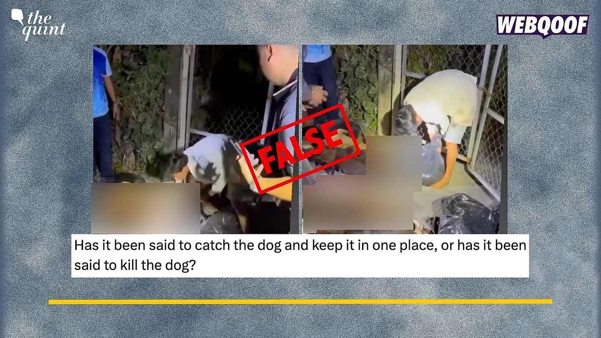 <div class="paragraphs"><p>Fact-Check: This video is from Vietnam and not India, as claimed.&nbsp;</p></div>