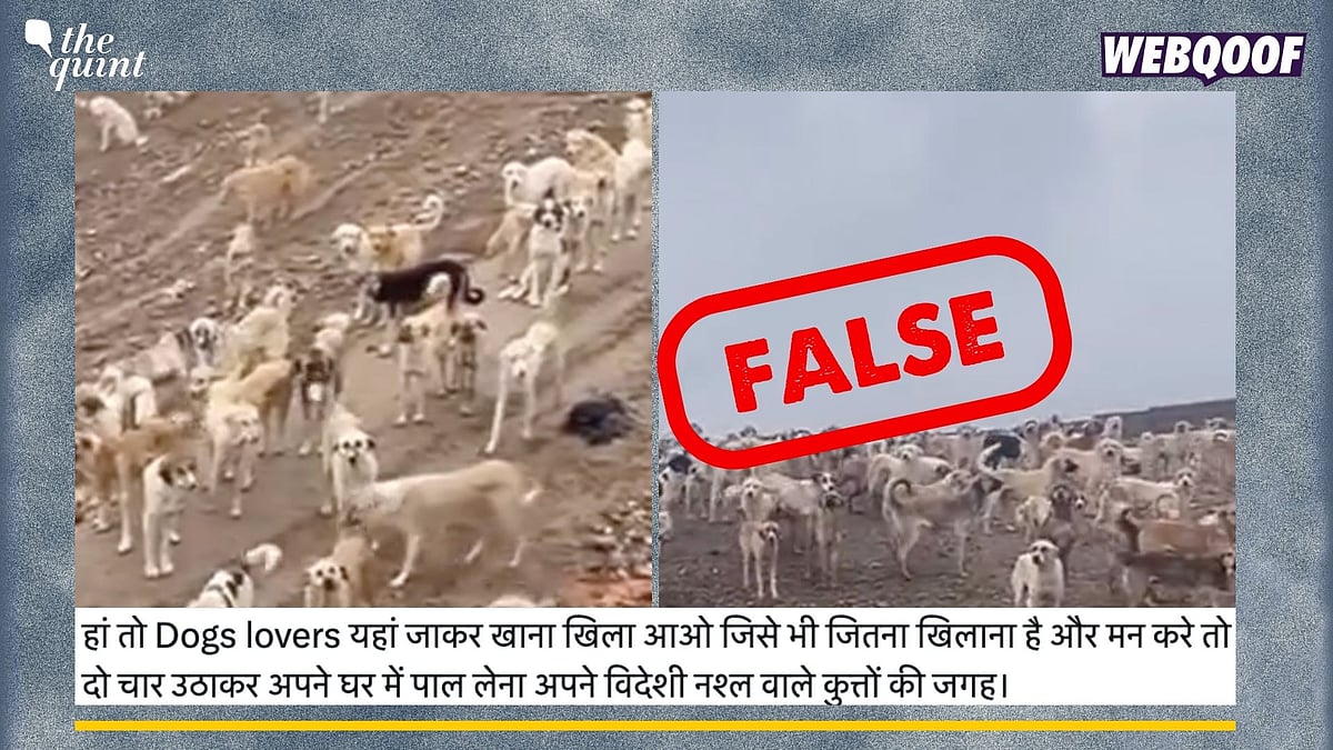 <div class="paragraphs"><p>Fact-Check &nbsp;The video being shared online is from Iraq not Delhi-NCR.</p></div>