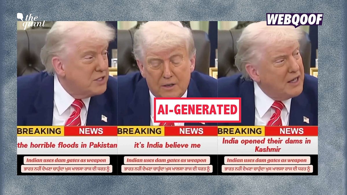 <div class="paragraphs"><p>An AI-generated video is being shared to falsely claim that it shows US President Donald Trump holding India responsible for floods in Pakistan.</p></div>