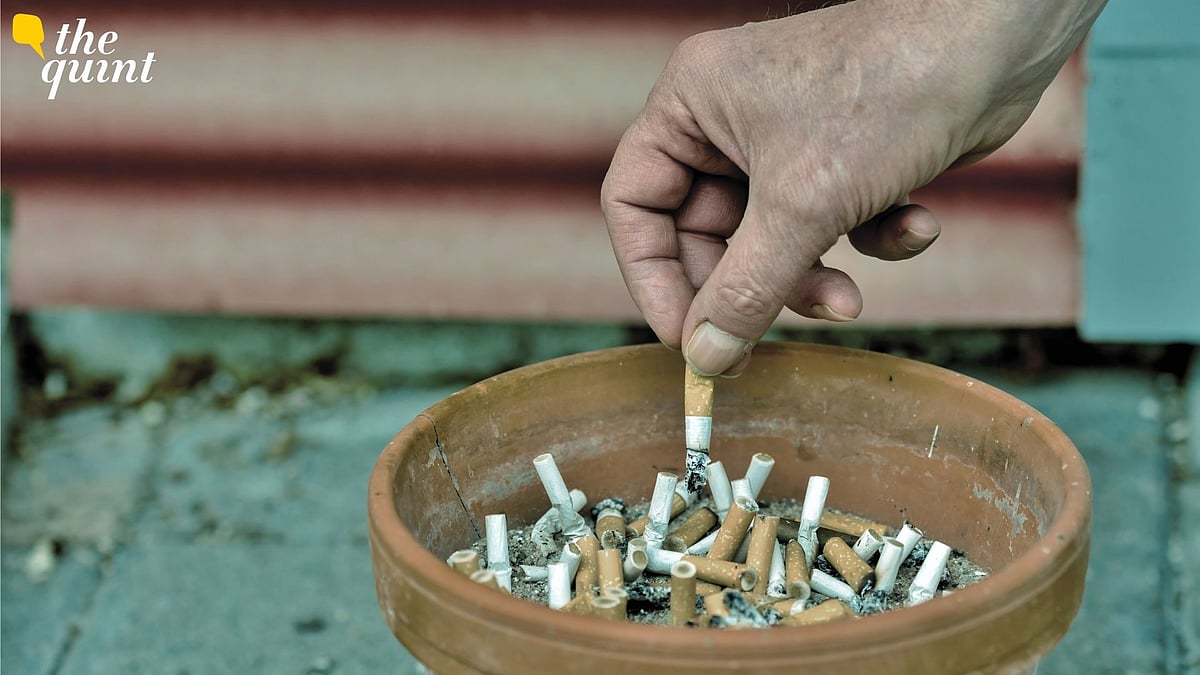 <div class="paragraphs"><p>Cigarette Filters Don’t Protect Smokers’ Health, Only Cause Plastic Pollution - is it time to ban them?</p></div>