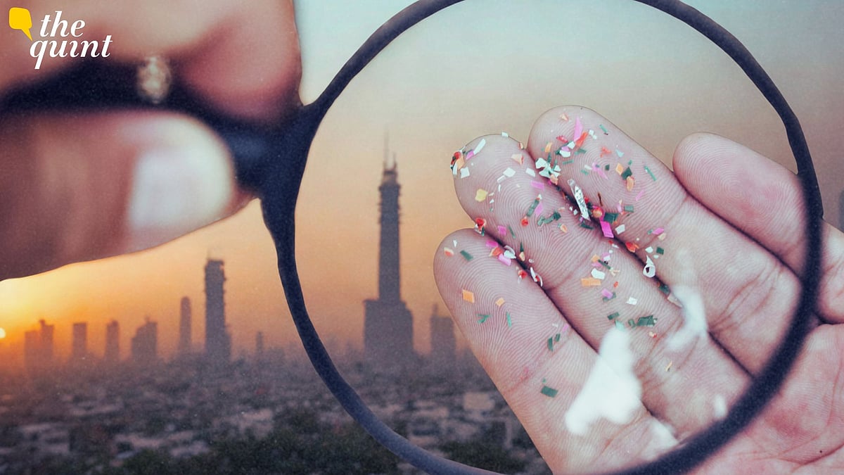 <div class="paragraphs"><p>A new study finds Delhi’s pollution crisis worsening, with microplastics detected in PM10, PM2.5, and PM1. (Image for representational purpose only.)</p></div>
