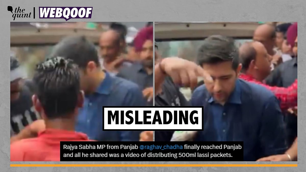 <div class="paragraphs"><p>Fact-Check | The video is old and is being falsely linked to the recent floods in Punjab.</p></div>