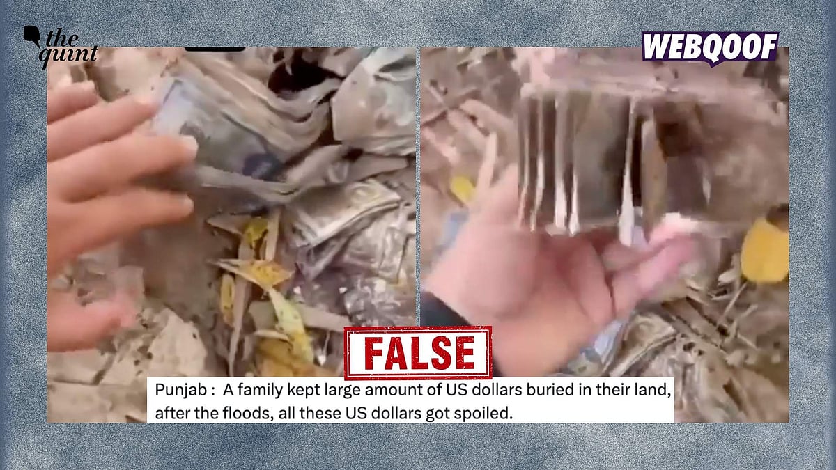 <div class="paragraphs"><p>An old, unrelated video is being shared to falsely claim that it shows US dollars being uncovered during the Punjab floods after being buried by a family.</p></div>