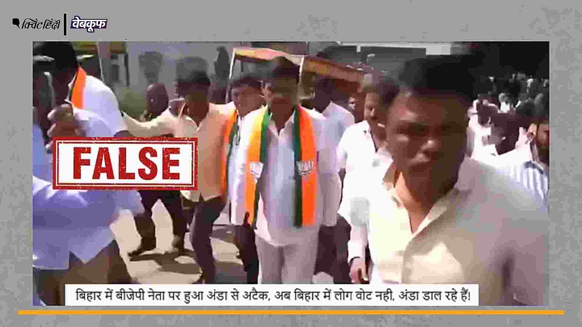 <div class="paragraphs"><p>बिहार चुनाव से जोड़कर वायरल है वीडियो</p></div>