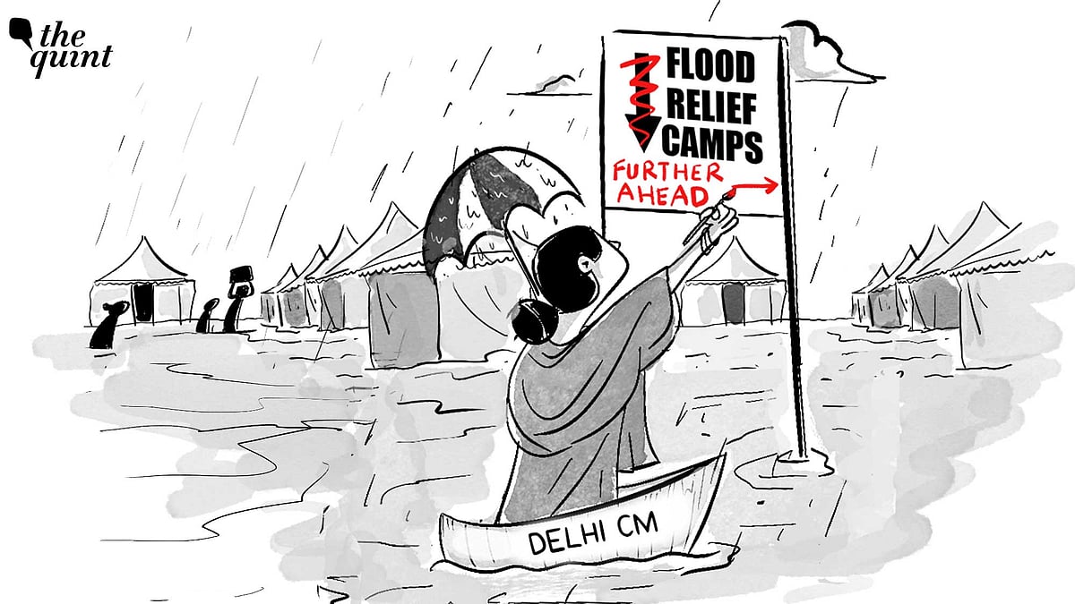 <div class="paragraphs"><p>Visuals from Mayur Vihar Phase-1—one of the low-lying areas near the Yamuna River affected due to heavy rainfall in the national capital—showed floodwaters entering the temporary relief camps.</p></div>
