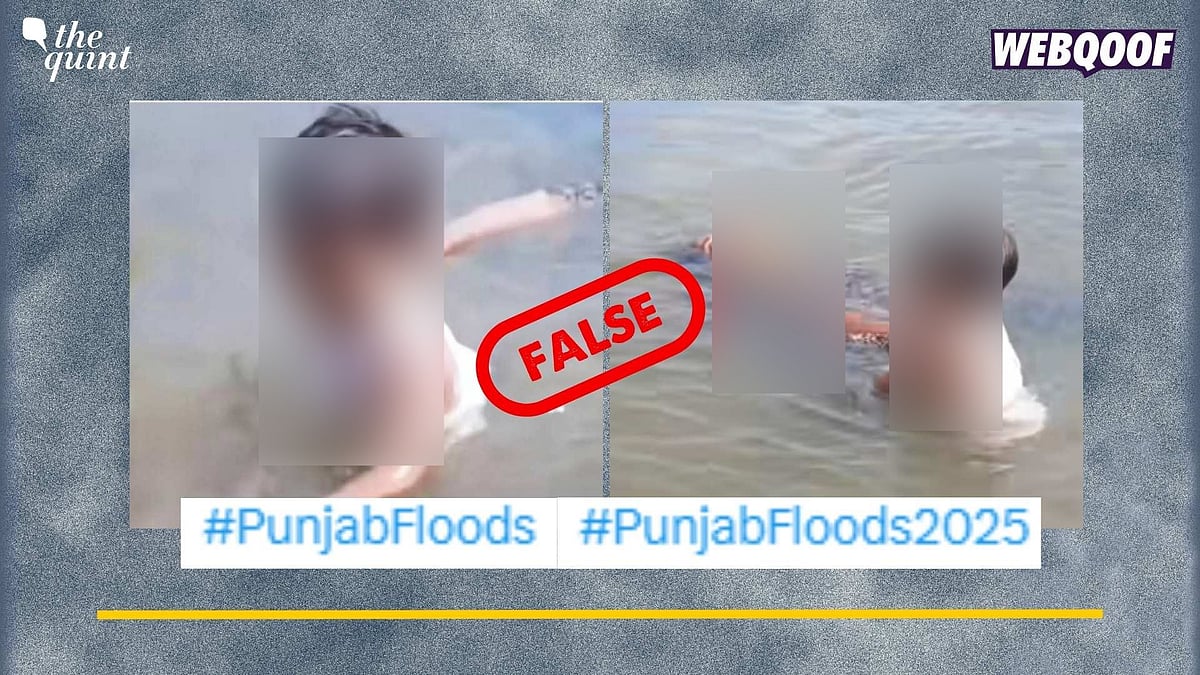 <div class="paragraphs"><p>Fact-Check: This video is staged and does not show a tragic incident from Punjab.</p></div>