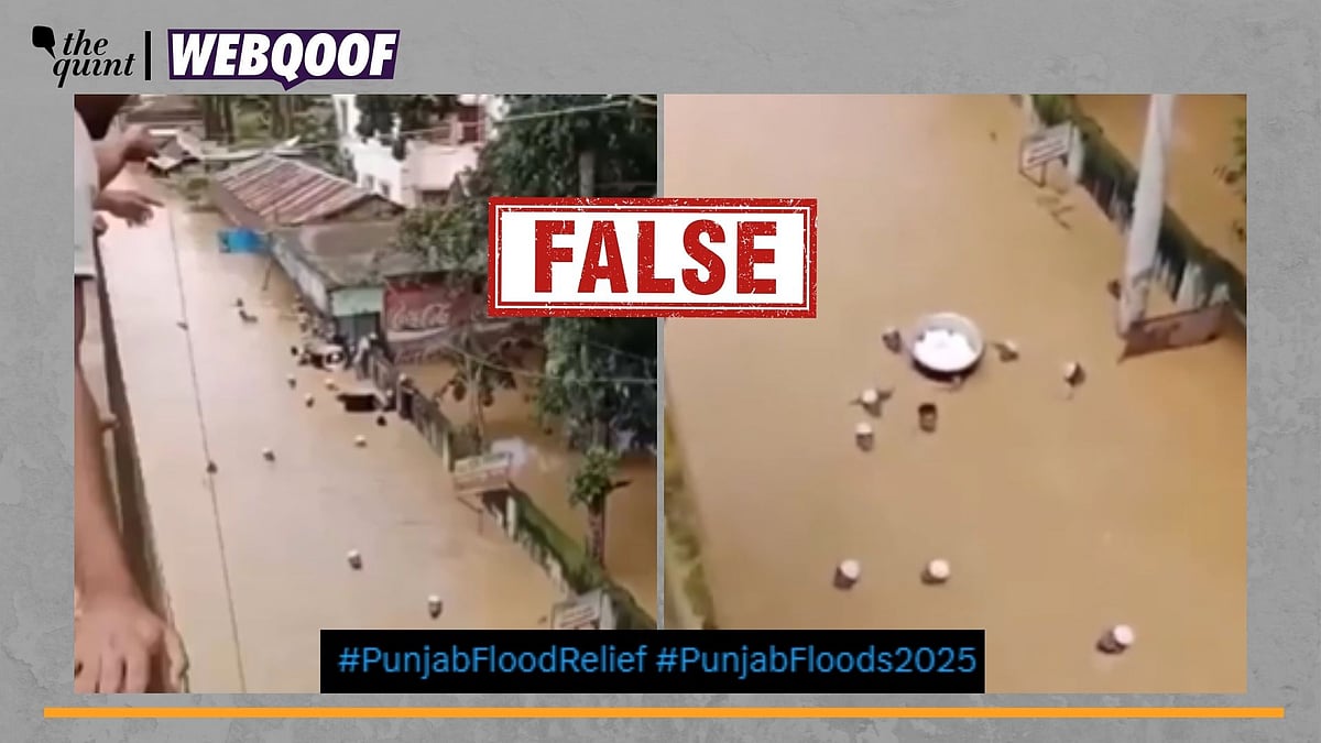 <div class="paragraphs"><p>Fact-Check | The video is old and is from Bangladesh.</p></div>