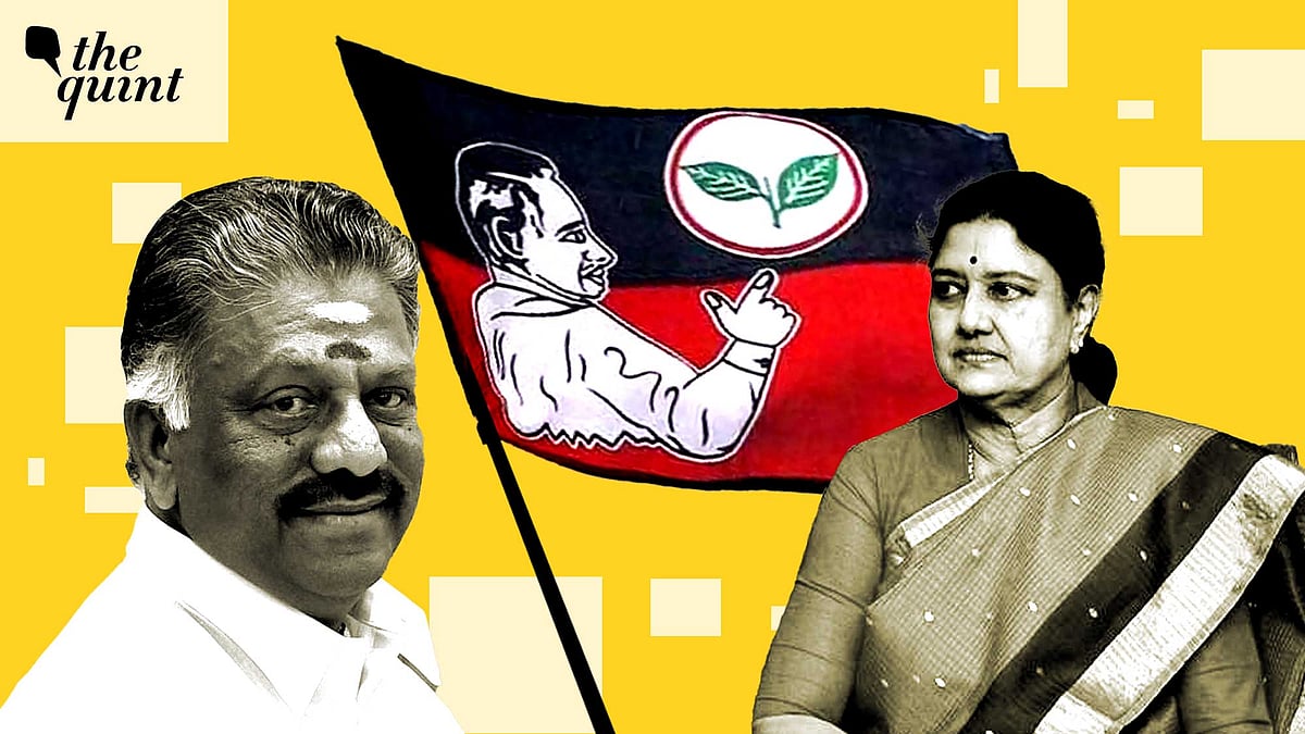<div class="paragraphs"><p>Over the past year, the AIADMK has looked less like a disciplined opposition and more like a house divided. </p></div>
