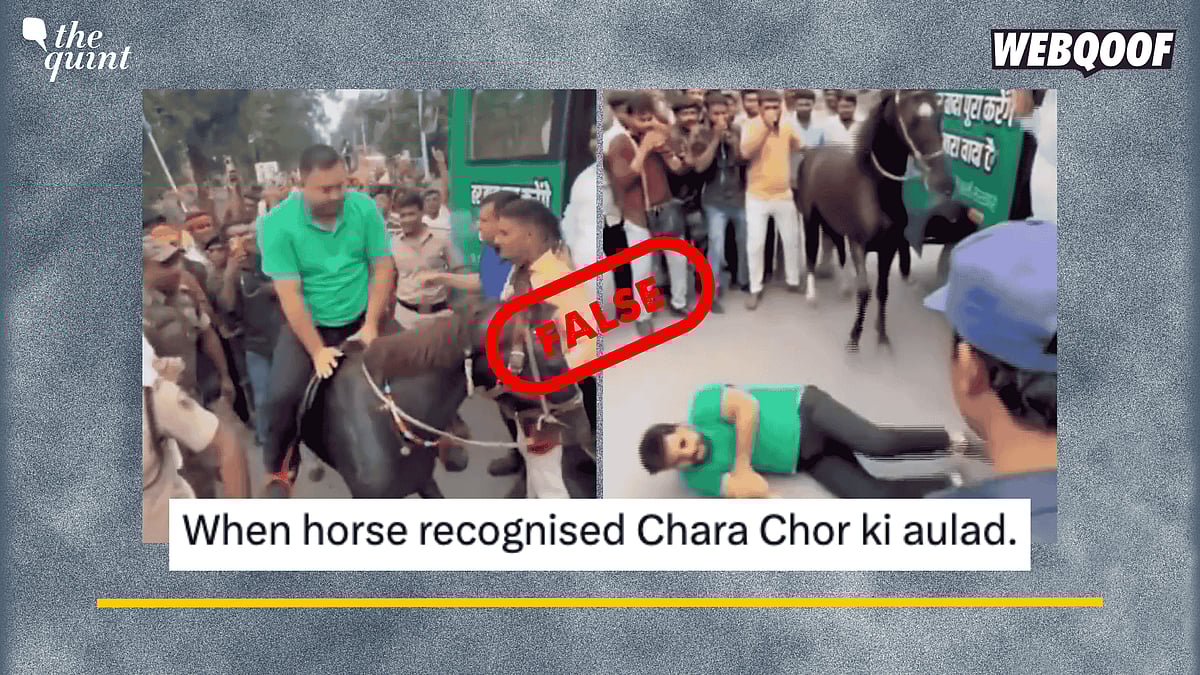 <div class="paragraphs"><p>Fact-Check: This video has been manipulated using AI.</p></div>